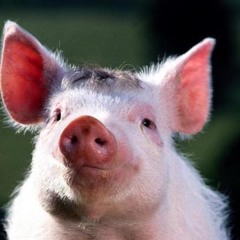 mhzjrtc5ev iv 7rbuk6riv75bdif