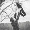 Stephen D Gowin