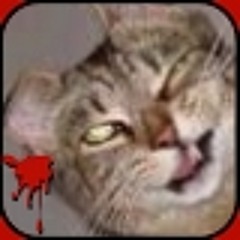 User 385316875