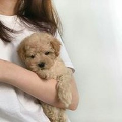 김다솜