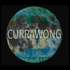Currawong