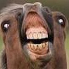 GAMING ÅSNAN