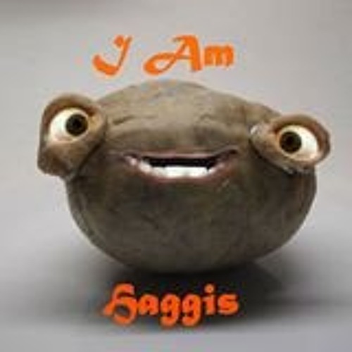 Haggis McHaggison’s avatar