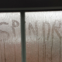 SPNDR