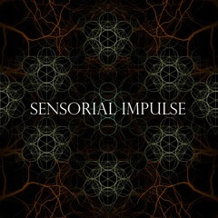 Sensorial Impulse