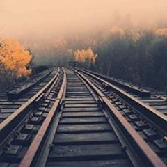 معتصم عبدالقادر