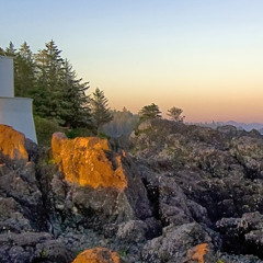 Михайло Нищ