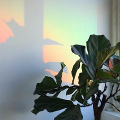 ʏ ɪ ɢ ʀ ɪ ᴛ s