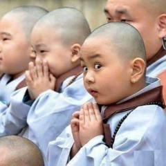 Synonymous Hippopotamus