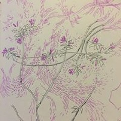 echo