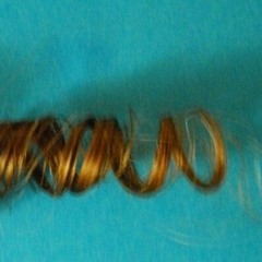 Inge Justa van der Helm