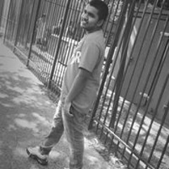 User 273534019