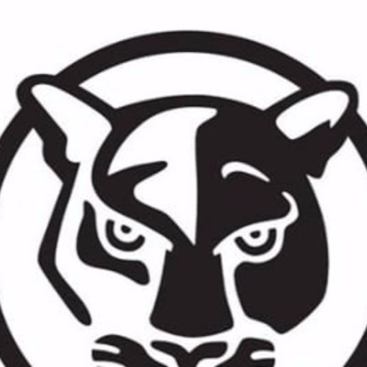 The Ronald Mitchell Show