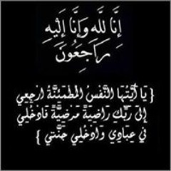 Ahmed Sadek