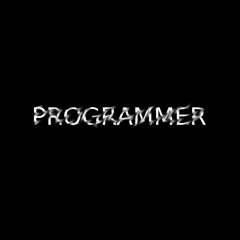 Programmer