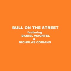 Bull On The Street