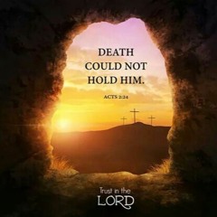 Hip Hop - Rap - Grime Instrumentals