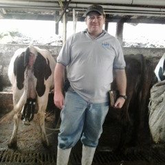 Wellington Hernandez