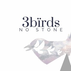 3 Birds No Stone