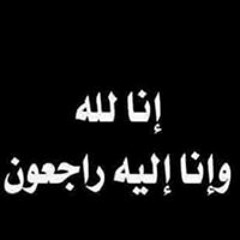 محمد حلمى