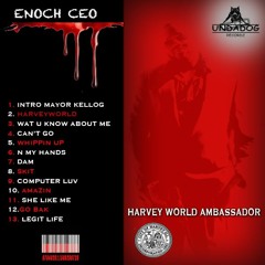 Enoch Ceo
