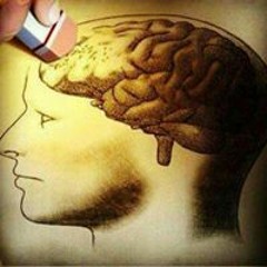 Ядовитая Змея