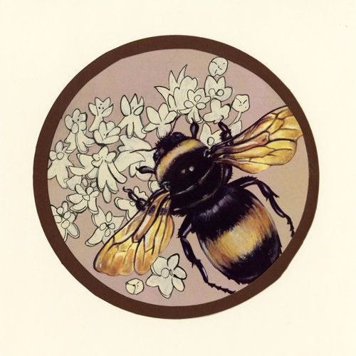 Bee’s avatar