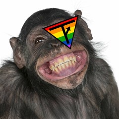 TFMonkey