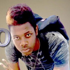 Zipo 2 Dingue