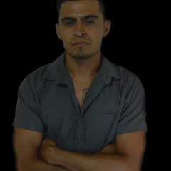 Camel System (Official)