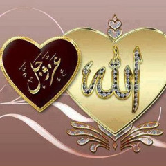 هشام الجزار