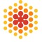 Technology Enhanced Language Learning