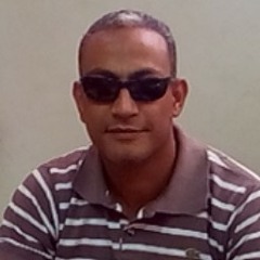 Adel Mohamed Abdallah