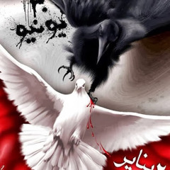 sameh.mohamed40