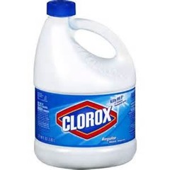 clorox bleach