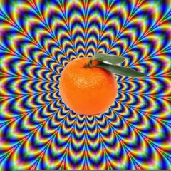 Clementine le fruit