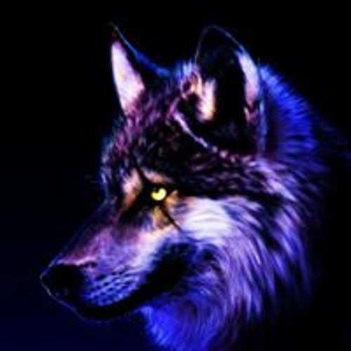 Wolf Ryan’s avatar