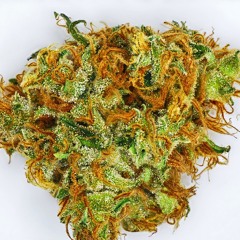 LEMON HAZE FREESTYLE
