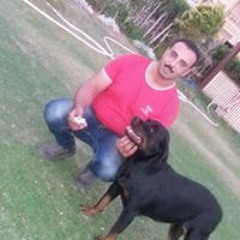 Nabil Nagy