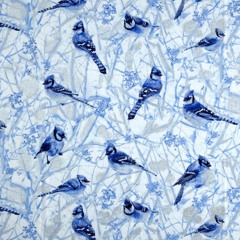 Jay Frost Productionz