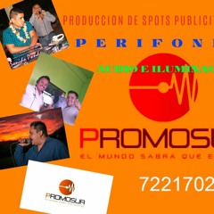 PROMOSUR