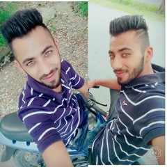 Dilpreet s Bhangoo