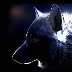 NightWolf
