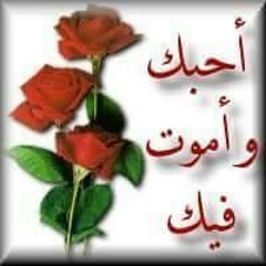 بودي وروما كرار