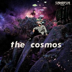 The Cosmos - Insomnia W.I.P (Forthcoming Dubtribu Records)
