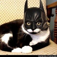 BatMinettu