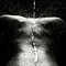 Olivier Guitton