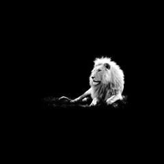 The Soul of Kings