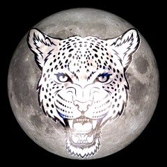 Lunar Leopard