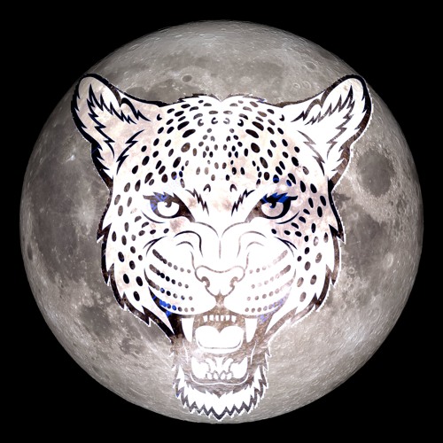 Lunar Leopard’s avatar